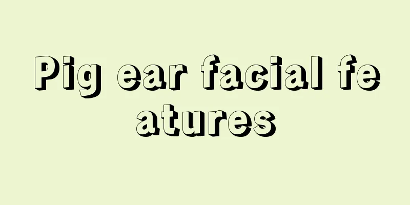 Pig ear facial features