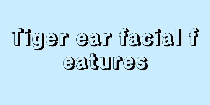 Tiger ear facial features