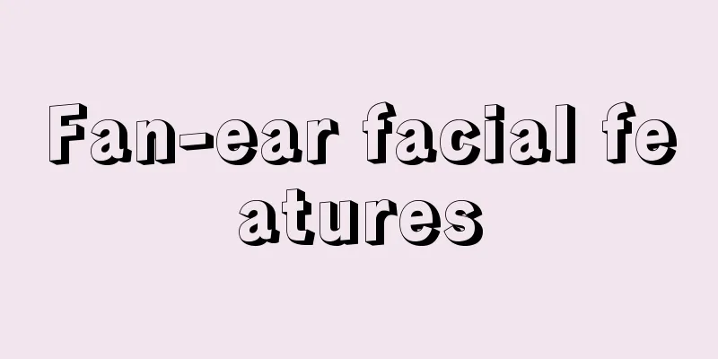 Fan-ear facial features