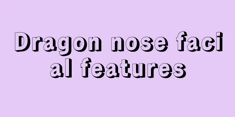 Dragon nose facial features