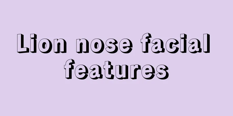 Lion nose facial features
