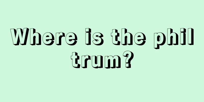 Where is the philtrum?