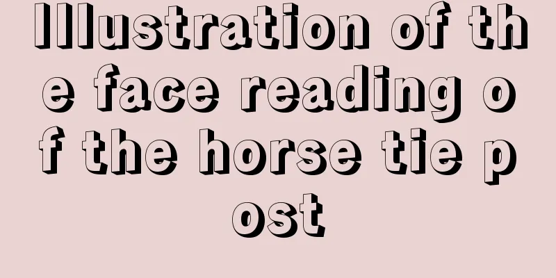 Illustration of the face reading of the horse tie post