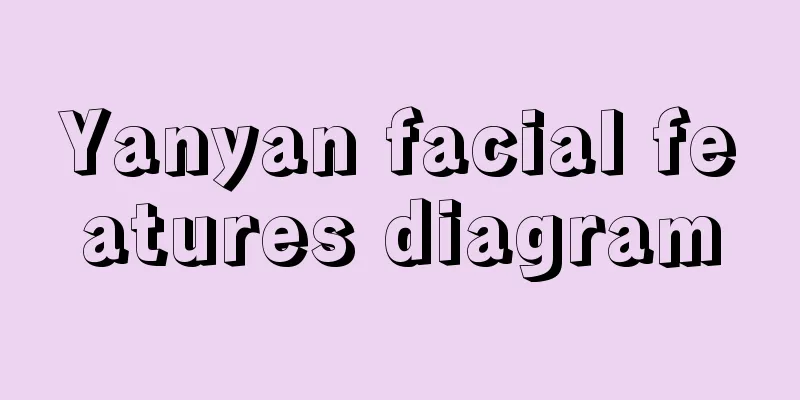 Yanyan facial features diagram