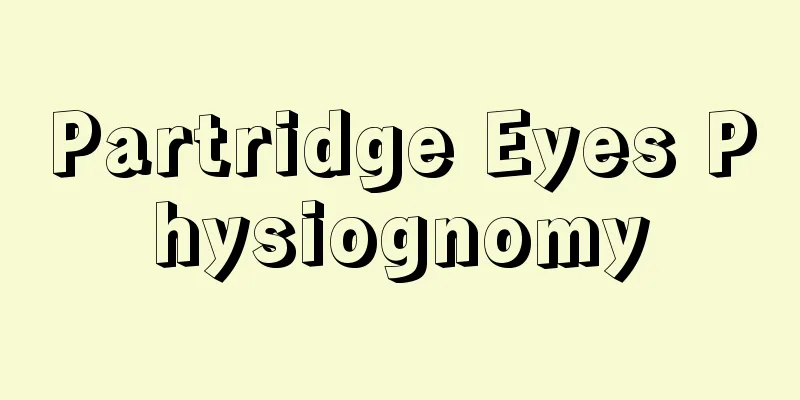 Partridge Eyes Physiognomy