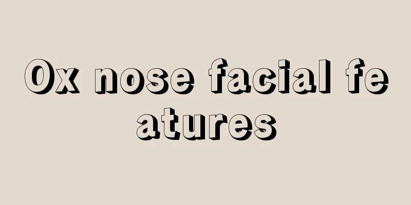Ox nose facial features