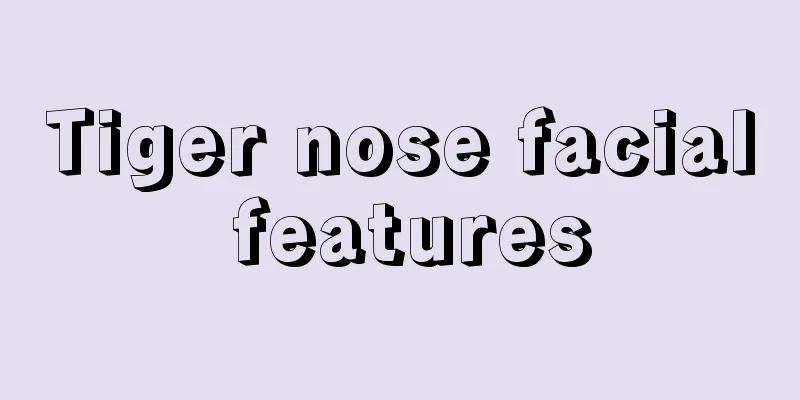 Tiger nose facial features