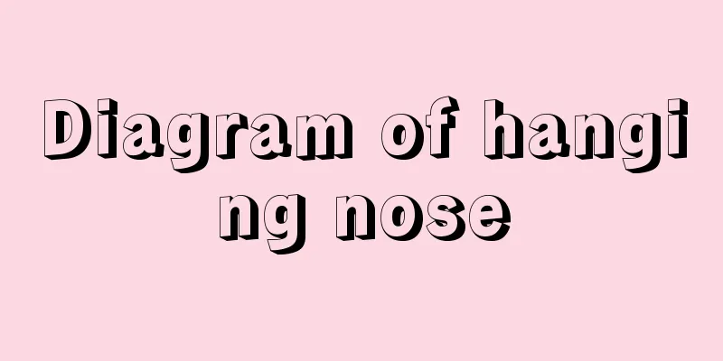 Diagram of hanging nose