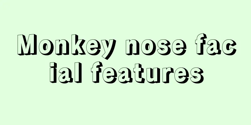 Monkey nose facial features