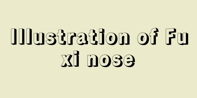 Illustration of Fuxi nose