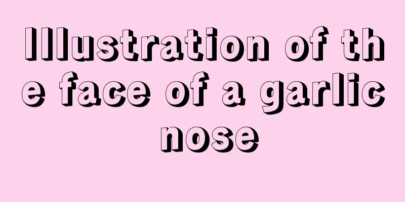 Illustration of the face of a garlic nose