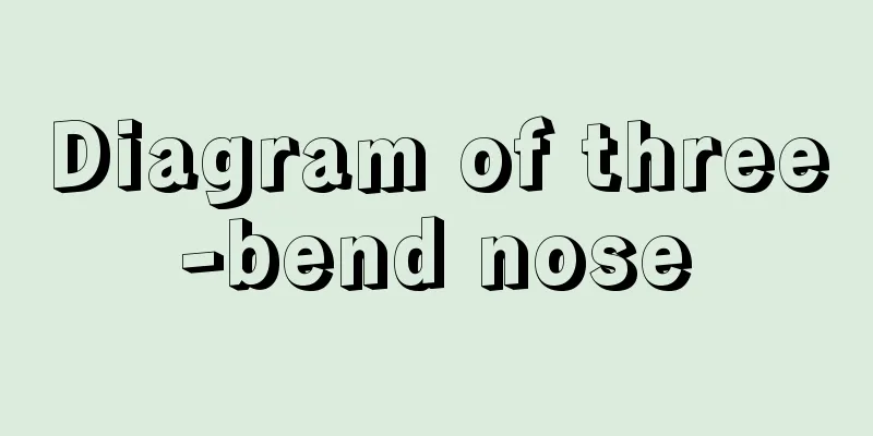 Diagram of three-bend nose