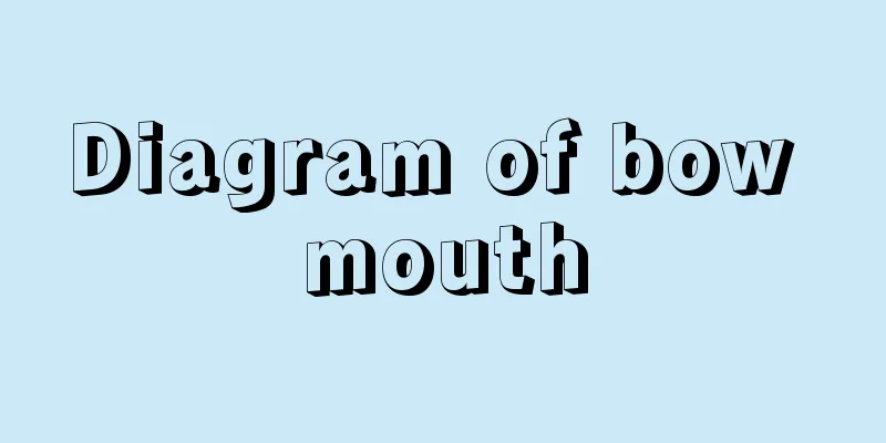 Diagram of bow mouth