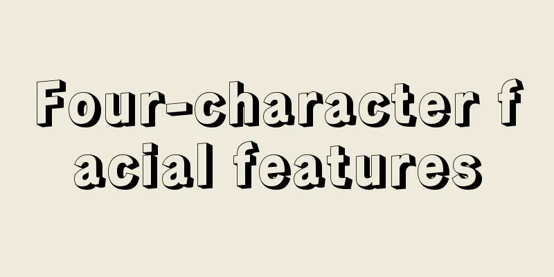 Four-character facial features