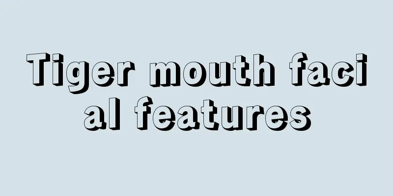 Tiger mouth facial features