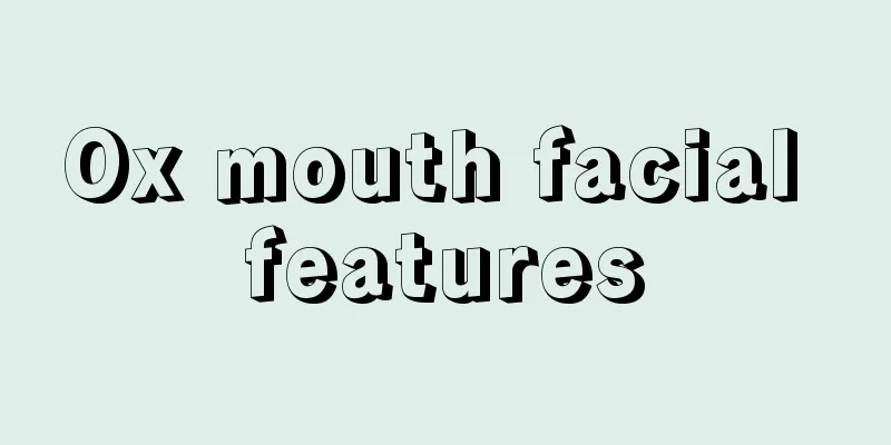 Ox mouth facial features