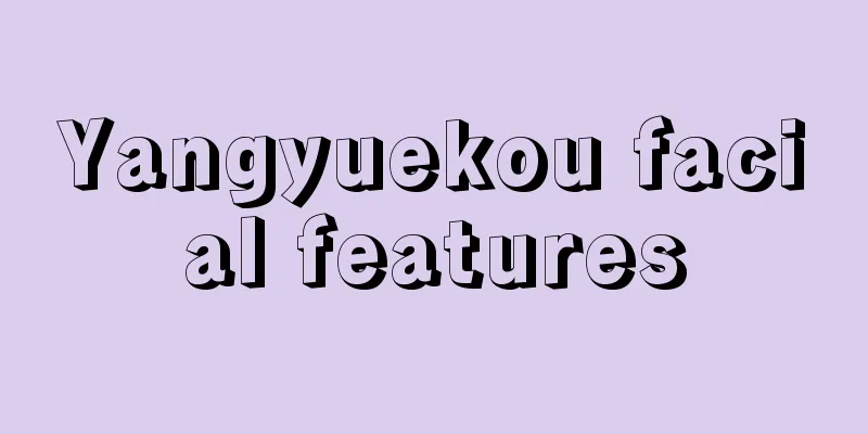 Yangyuekou facial features
