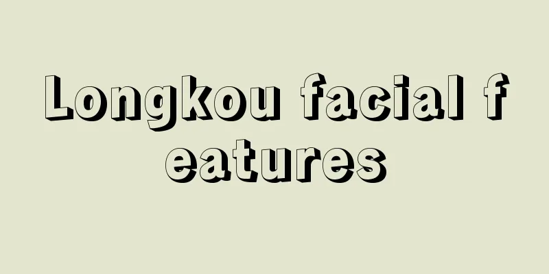 Longkou facial features