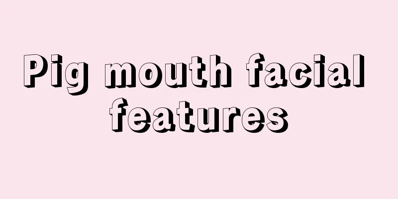 Pig mouth facial features