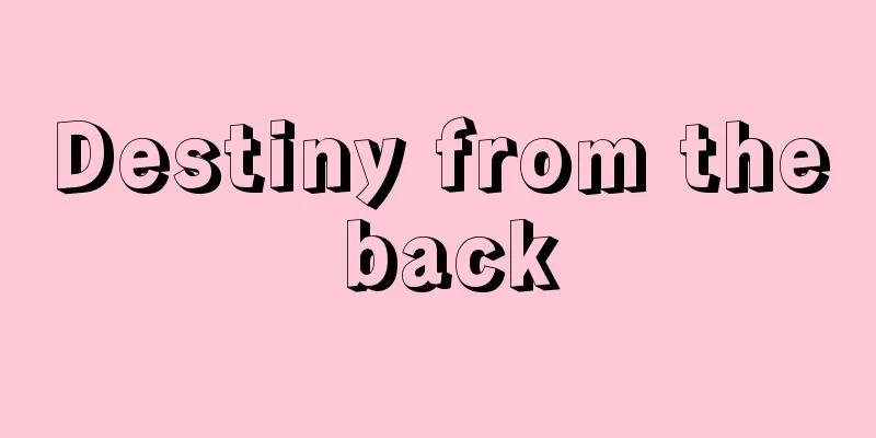 Destiny from the back