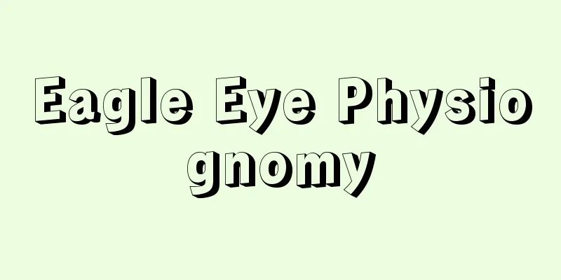 Eagle Eye Physiognomy
