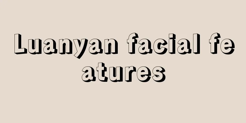 Luanyan facial features