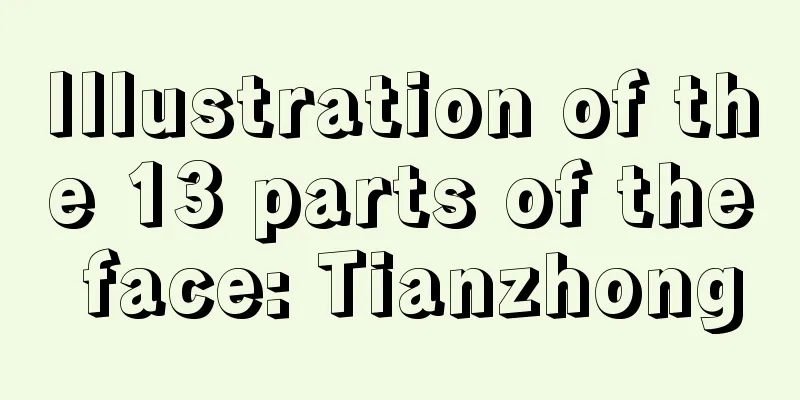 Illustration of the 13 parts of the face: Tianzhong