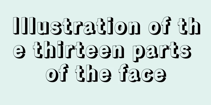 Illustration of the thirteen parts of the face