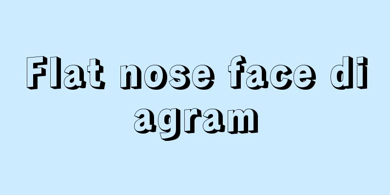 Flat nose face diagram