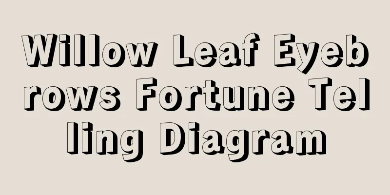 Willow Leaf Eyebrows Fortune Telling Diagram