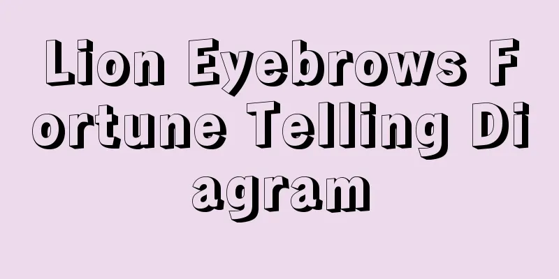 Lion Eyebrows Fortune Telling Diagram