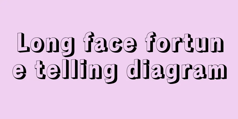 Long face fortune telling diagram