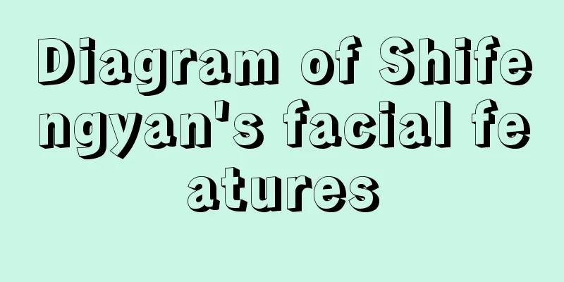 Diagram of Shifengyan's facial features