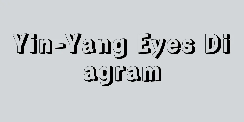 Yin-Yang Eyes Diagram