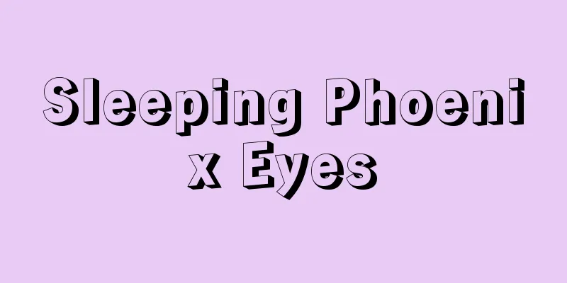 Sleeping Phoenix Eyes
