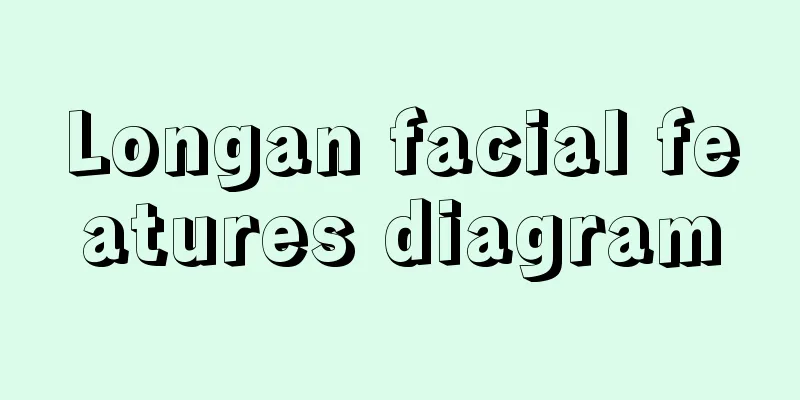 Longan facial features diagram