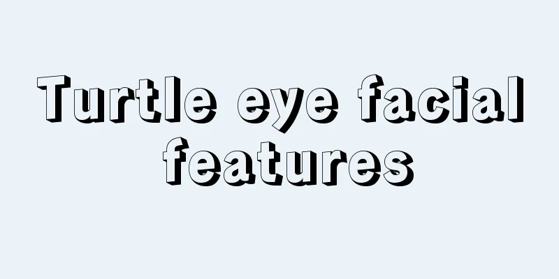 Turtle eye facial features