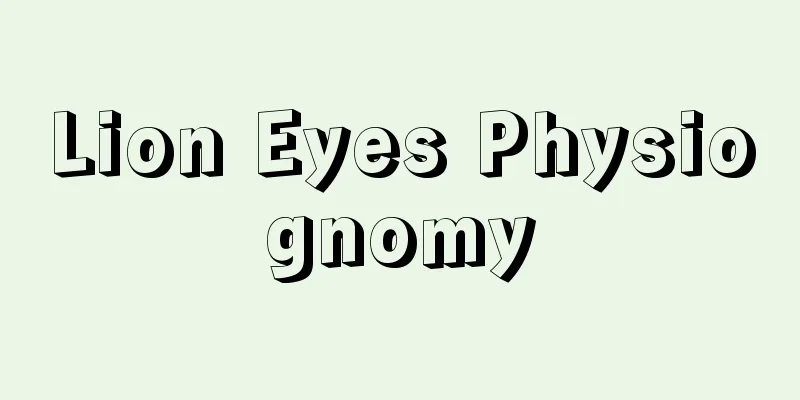 Lion Eyes Physiognomy