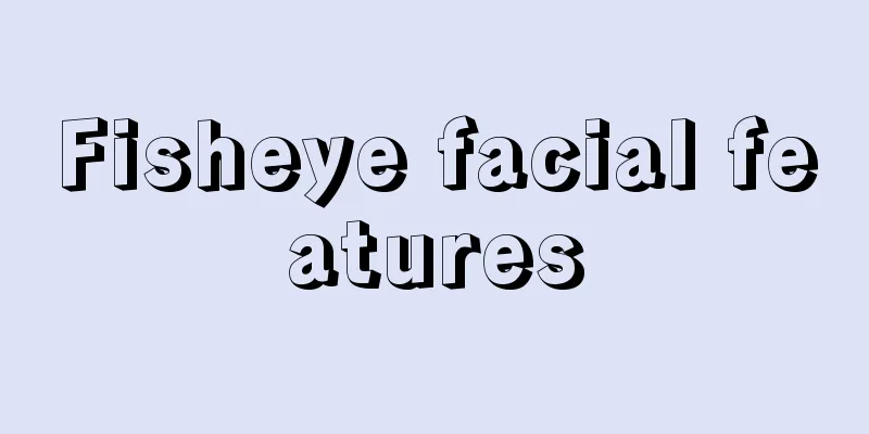 Fisheye facial features