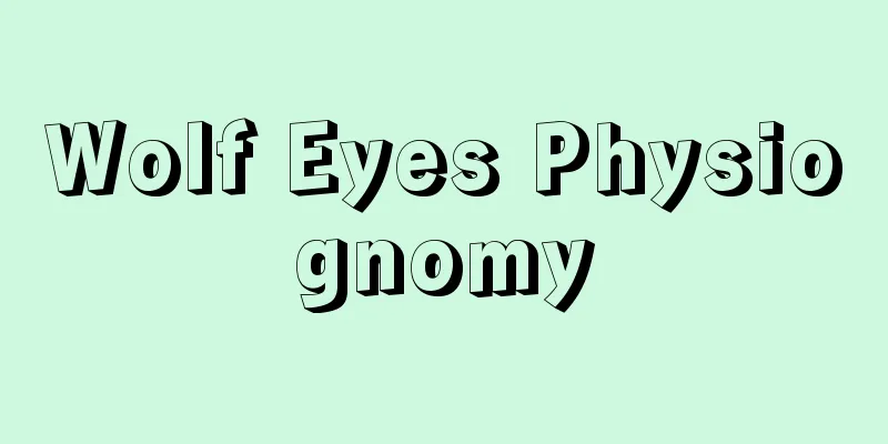 Wolf Eyes Physiognomy