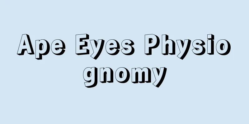 Ape Eyes Physiognomy