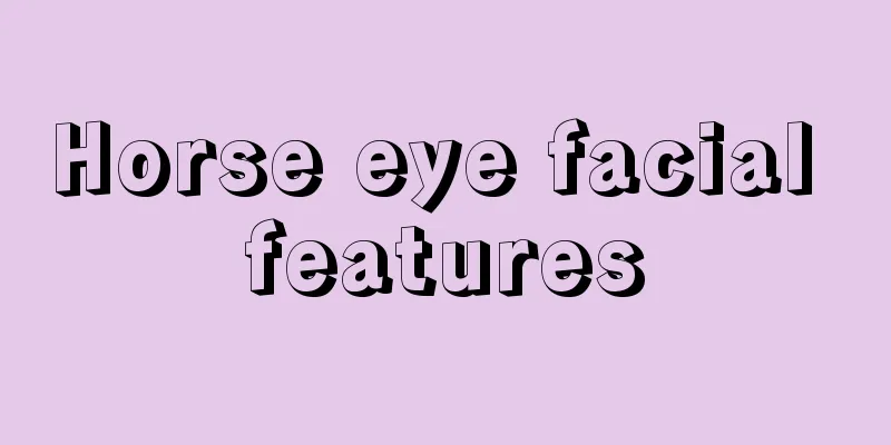 Horse eye facial features
