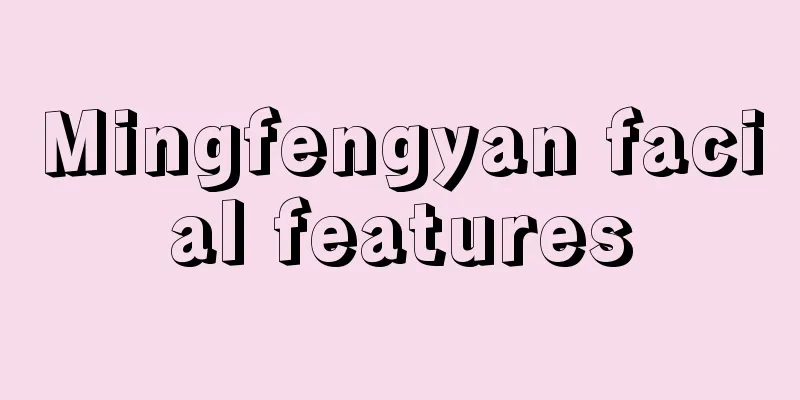 Mingfengyan facial features
