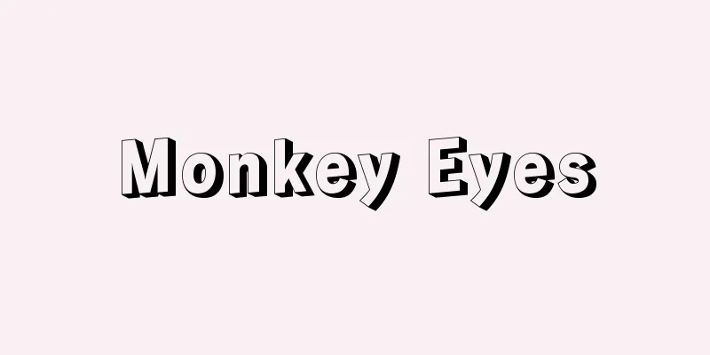 Monkey Eyes