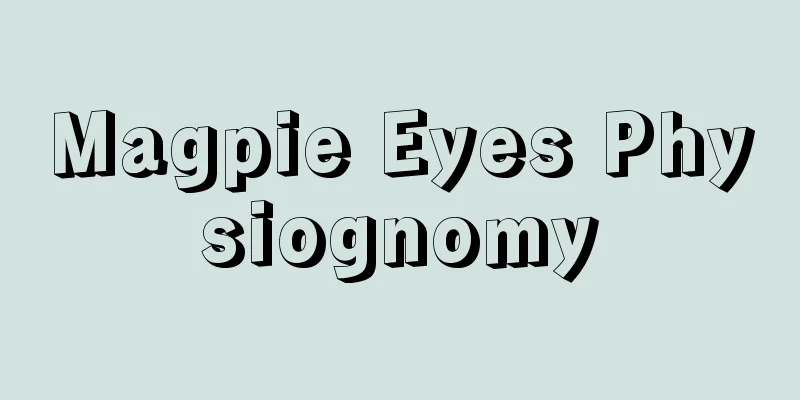 Magpie Eyes Physiognomy
