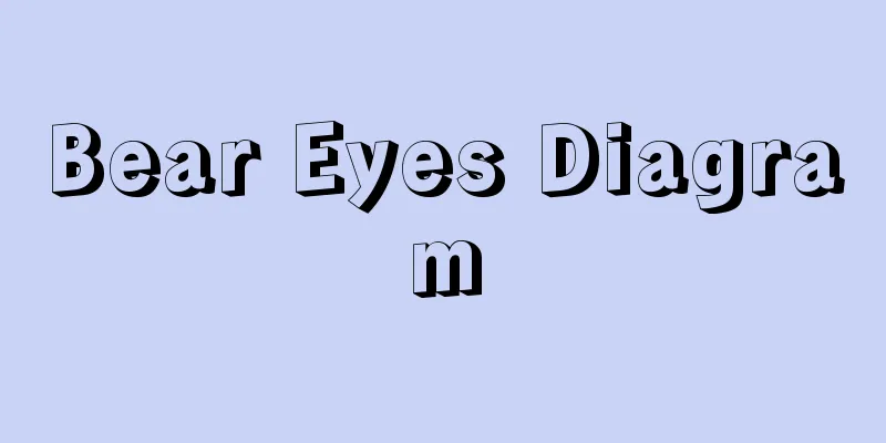 Bear Eyes Diagram