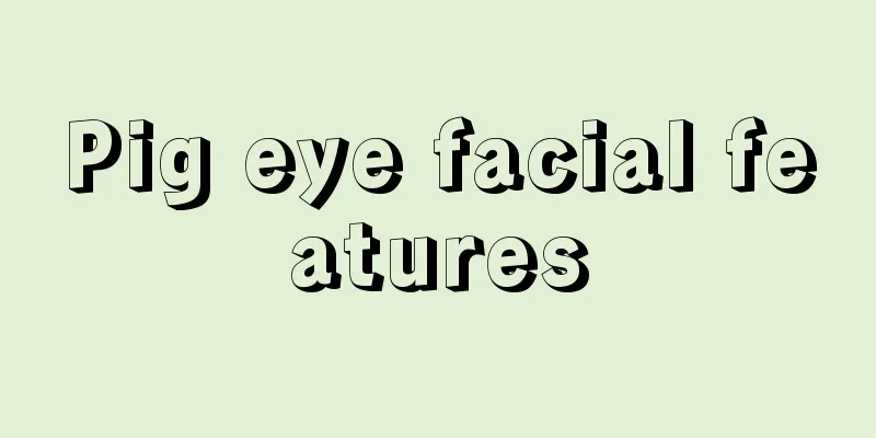 Pig eye facial features