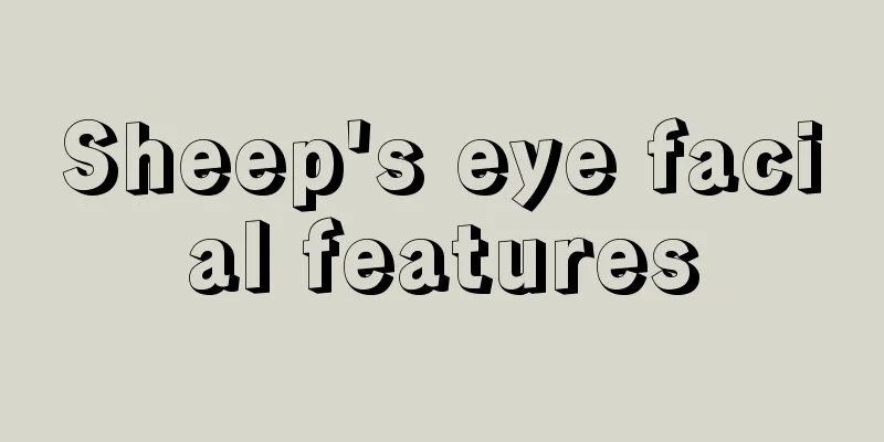 Sheep's eye facial features