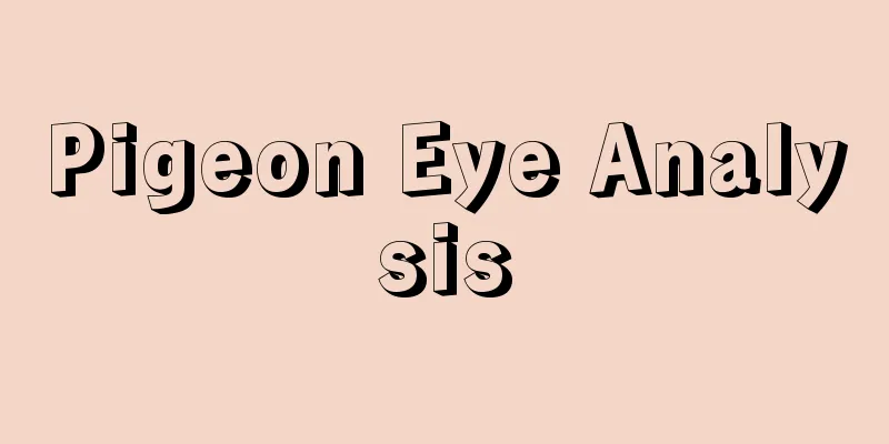 Pigeon Eye Analysis