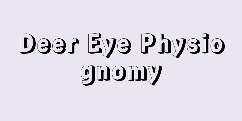 Deer Eye Physiognomy